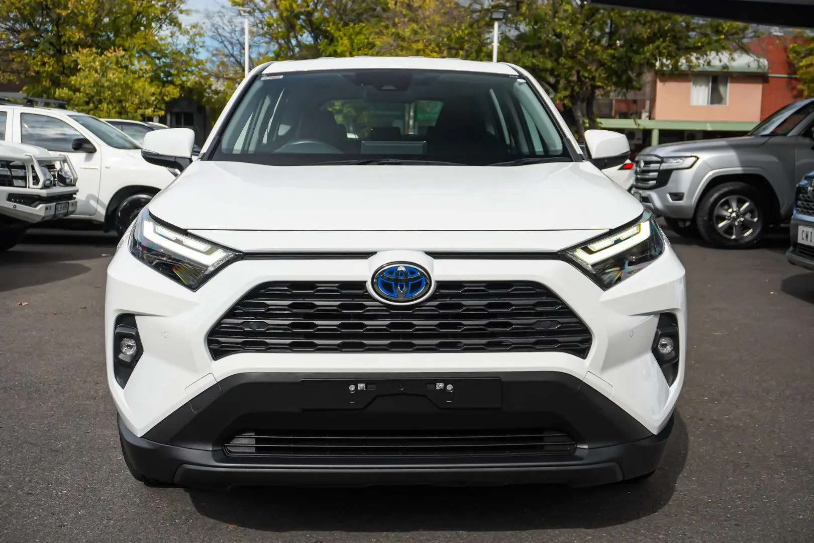 2024 Toyota RAV4 Gallery Image 4