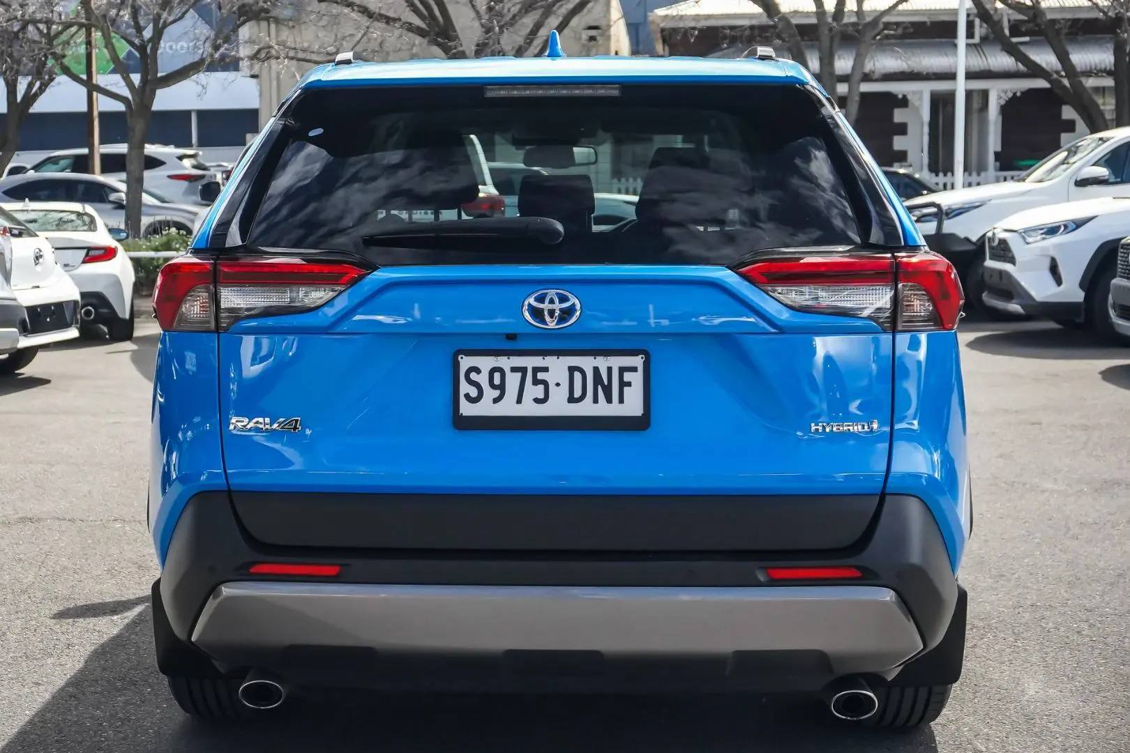 2020 Toyota RAV4 Gallery Image 5