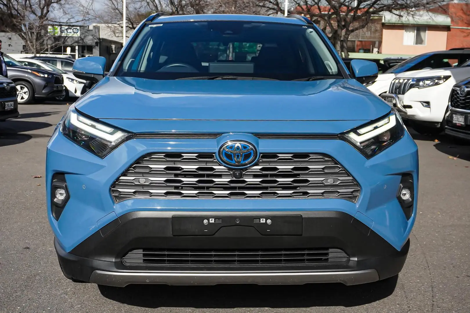 2024 Toyota RAV4 Gallery Image 4