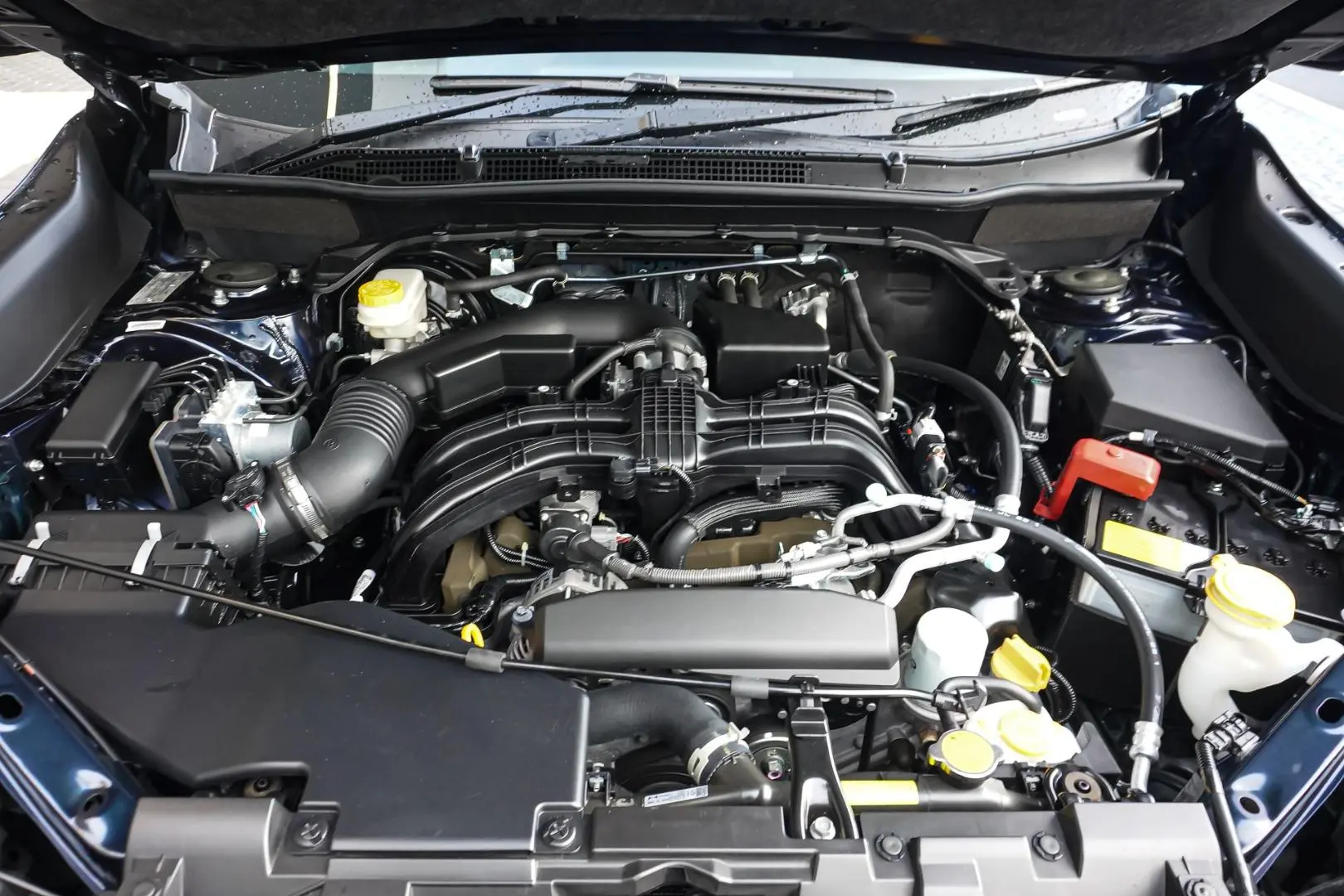 2021 Subaru Forester Gallery Image 28