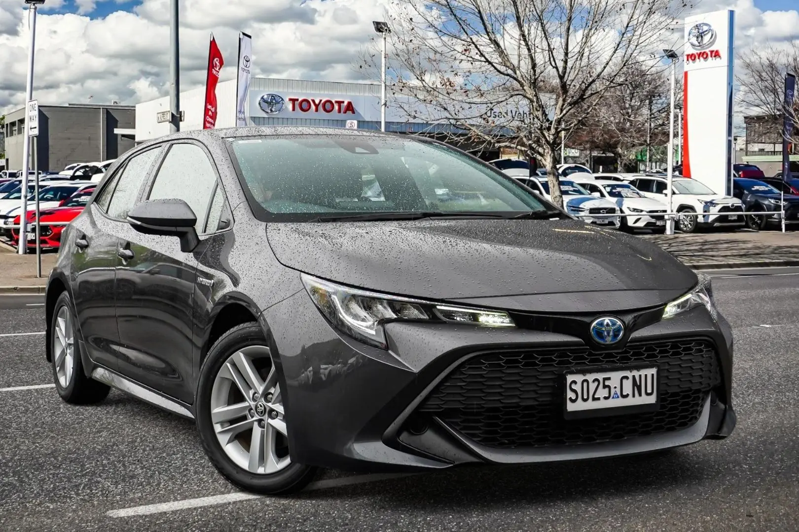 2021 Toyota Corolla Image