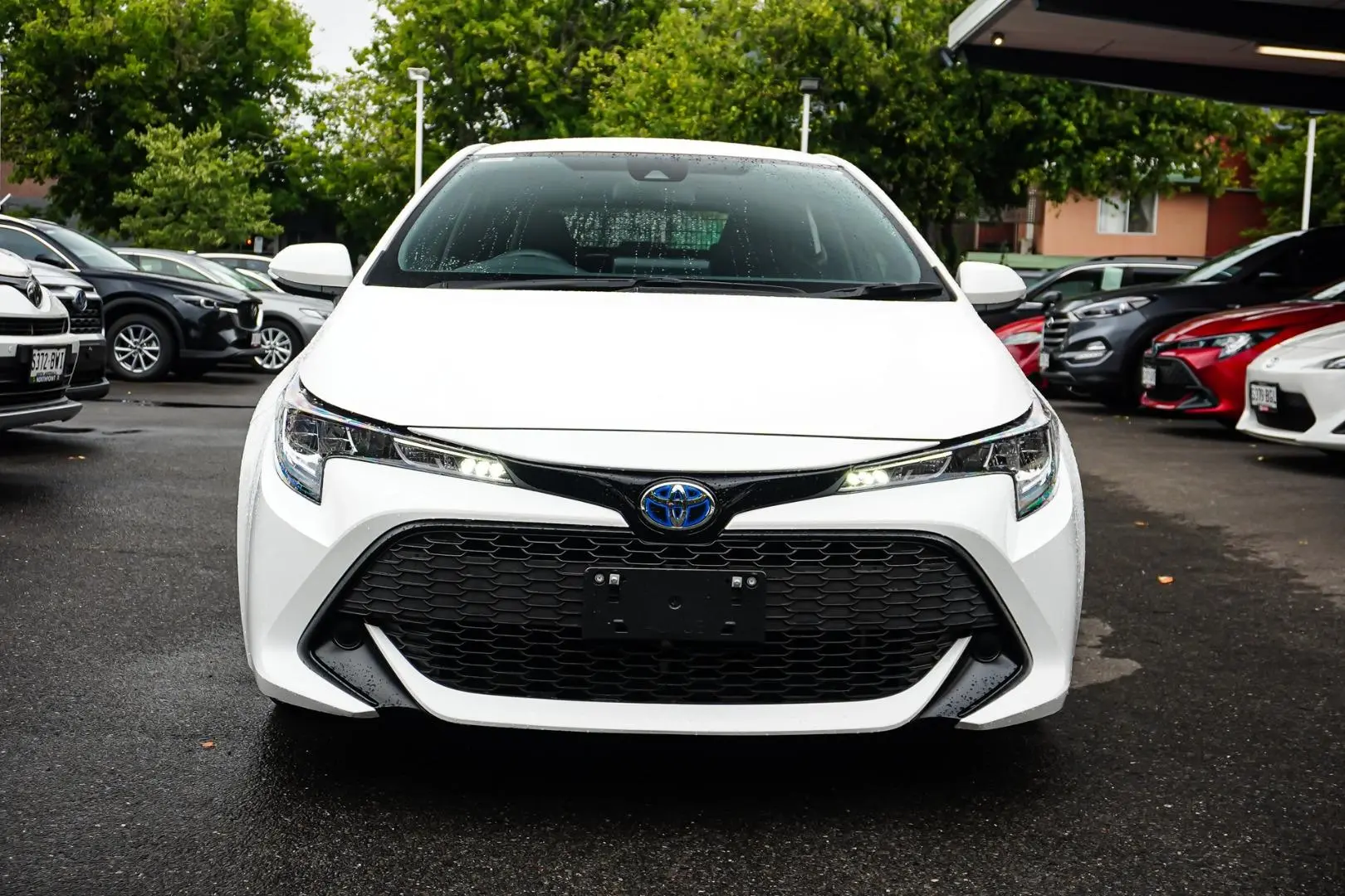 2022 Toyota Corolla Gallery Image 4