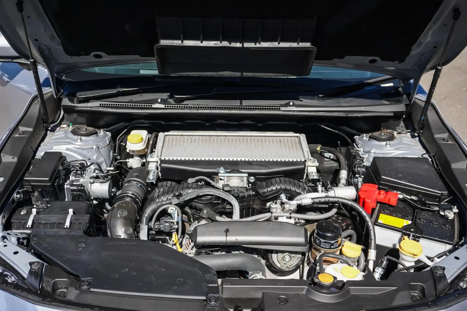 2025 Subaru WRX Gallery Image 24
