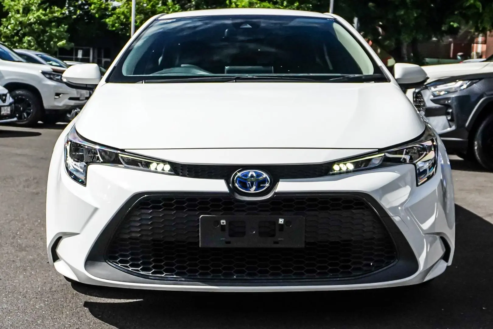 2022 Toyota Corolla Gallery Image 5