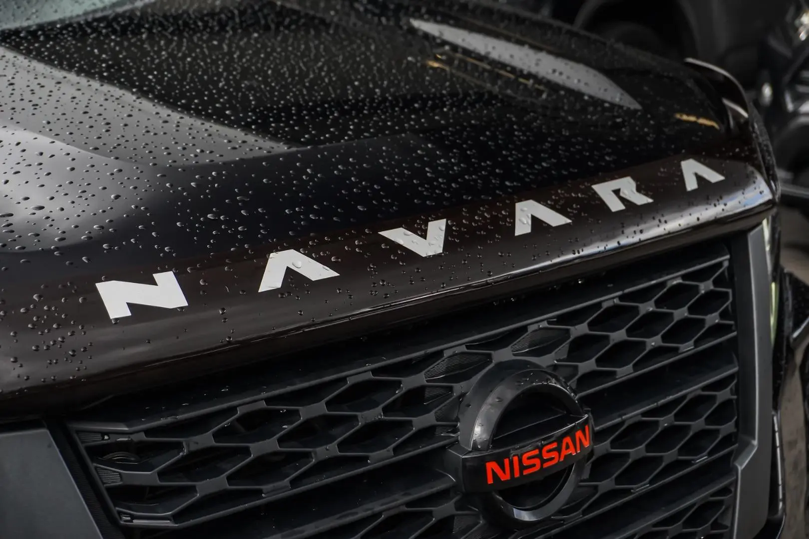 2022 Nissan Navara Gallery Image 14