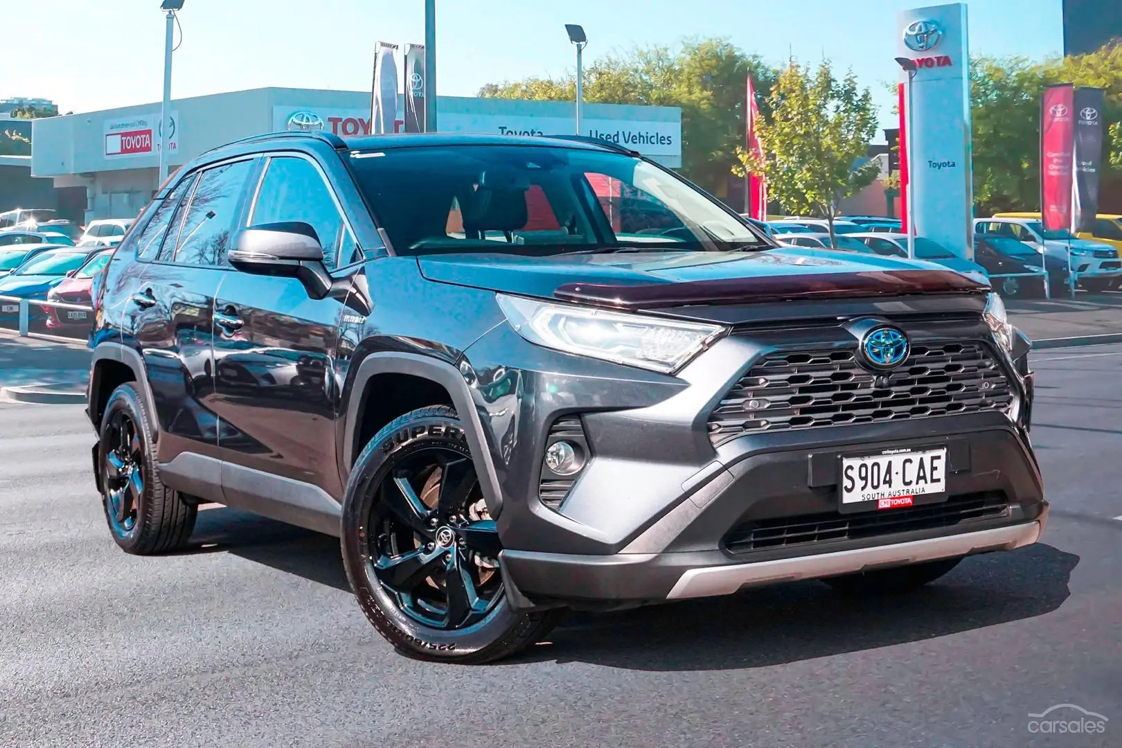 2019 Toyota RAV4 Image 1