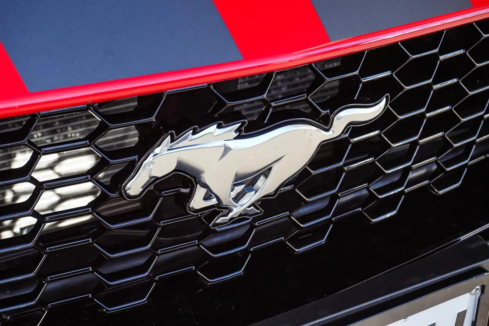 2024 Ford Mustang Gallery Image 14