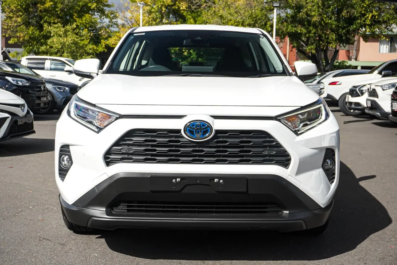 2021 Toyota RAV4 Gallery Image 4