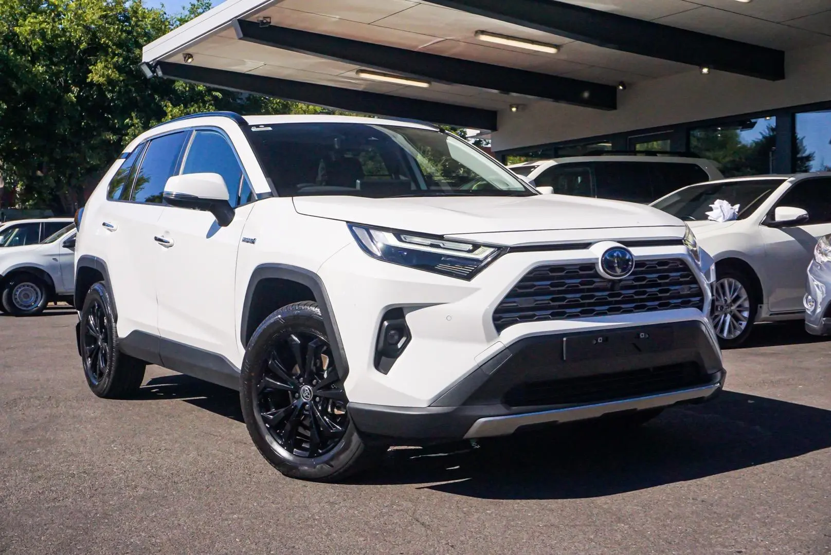 2023 Toyota Rav4 Gallery Image 2