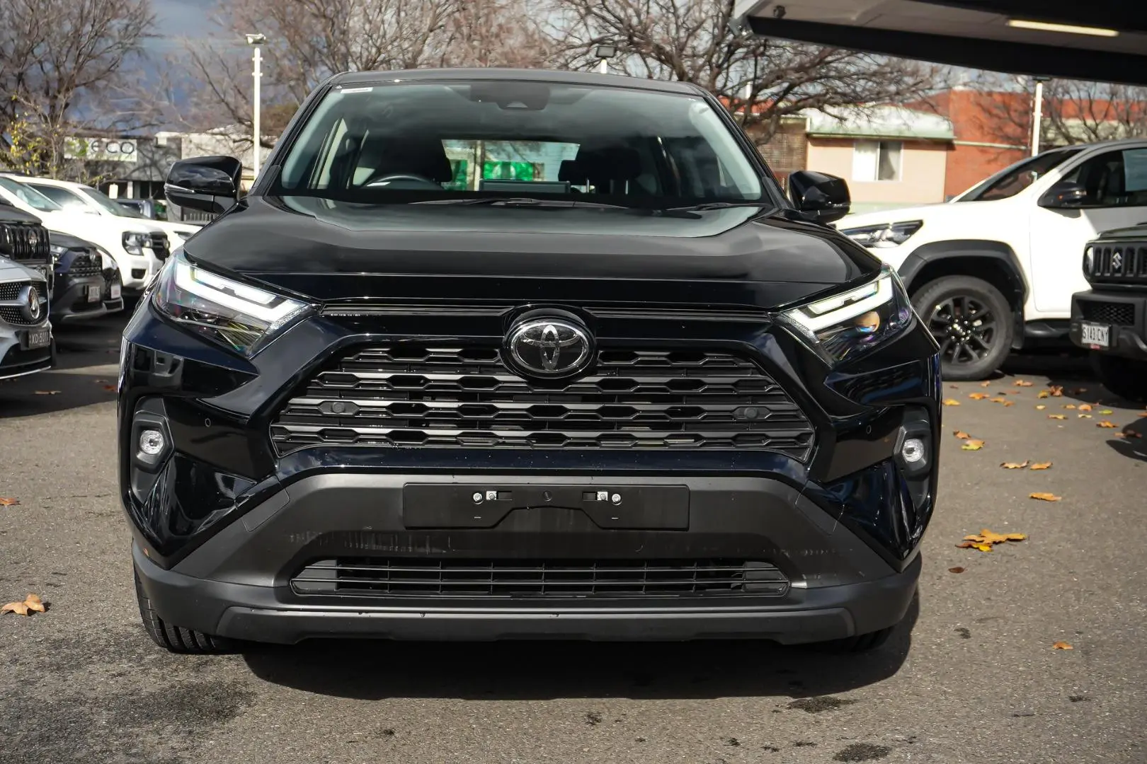 2025 Toyota RAV4 Gallery Image 5