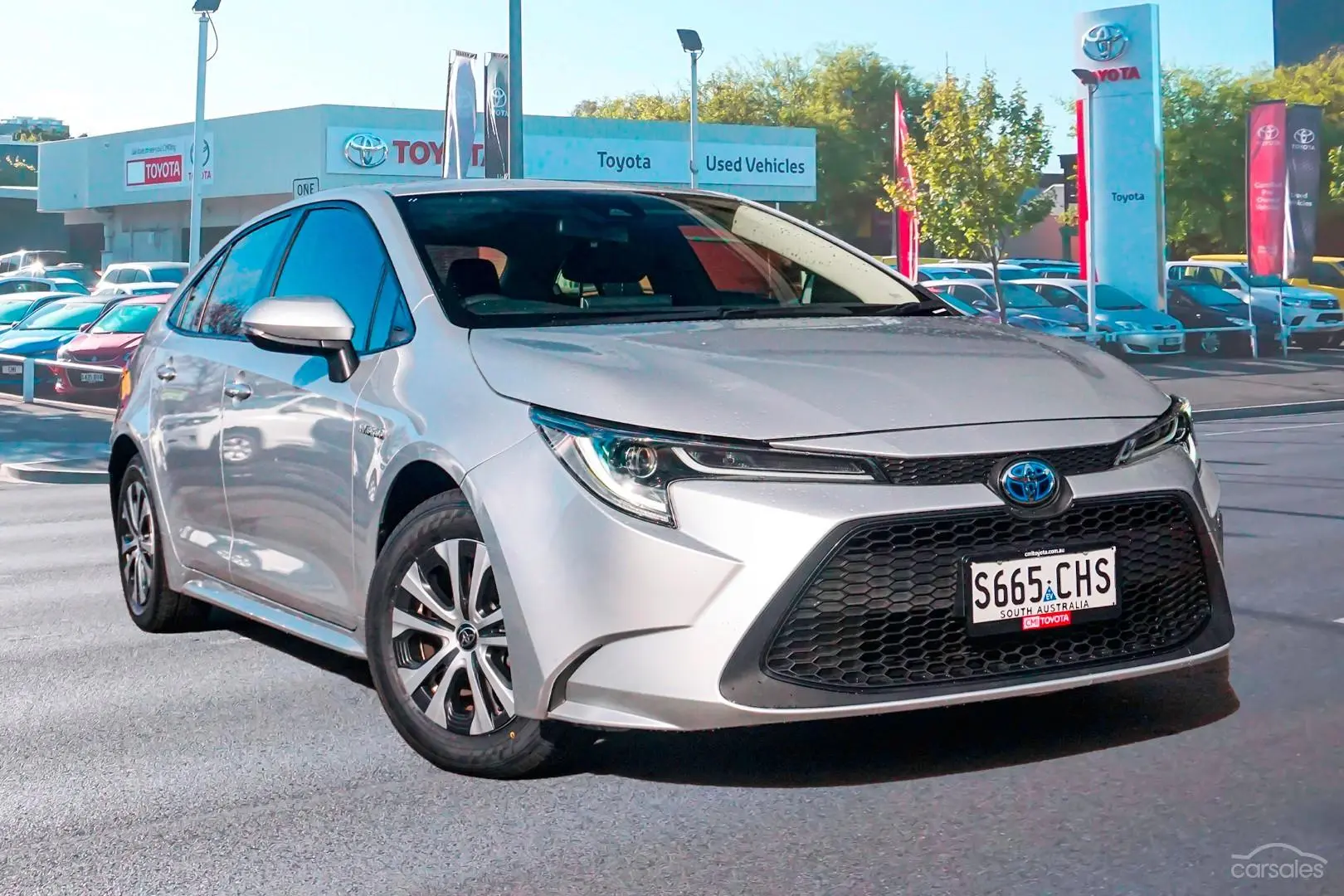 2020 Toyota Corolla Image 1