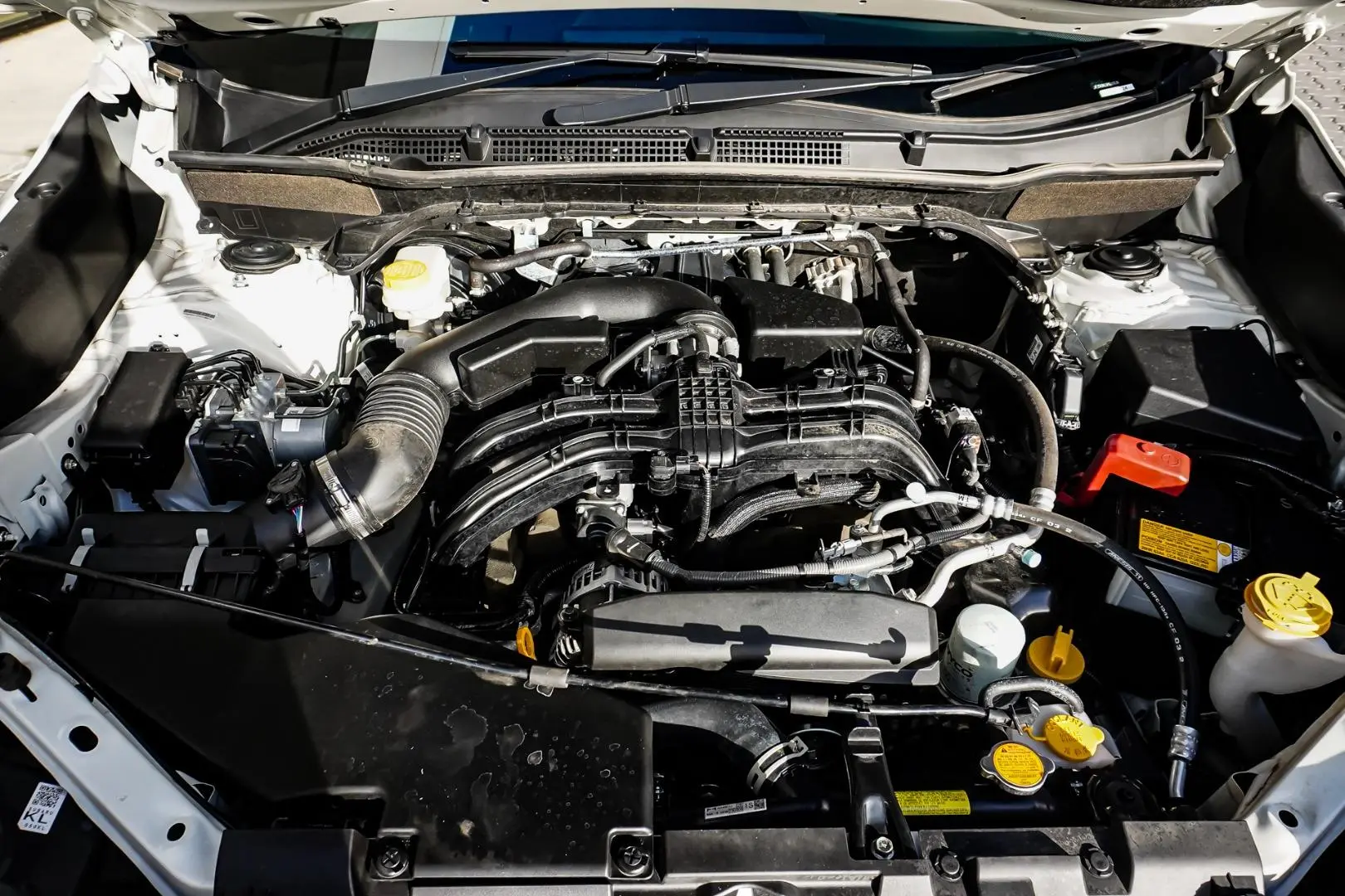 2023 Subaru Forester Gallery Image 25