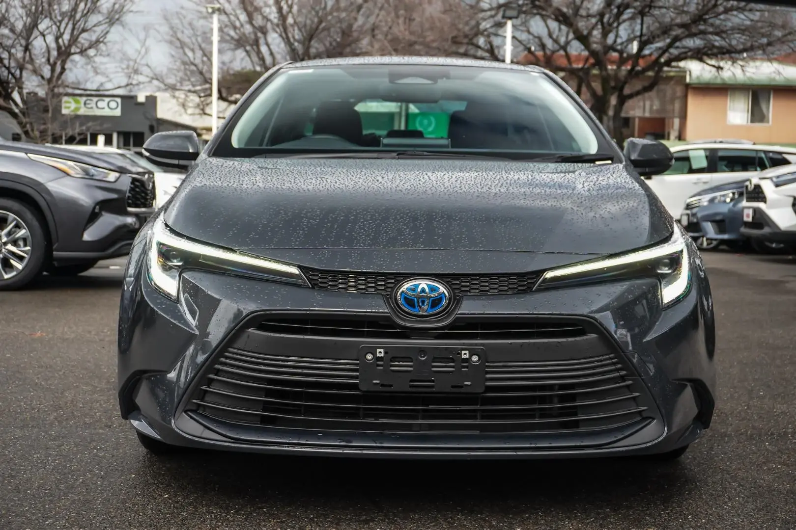 2025 Toyota Corolla Gallery Image 5