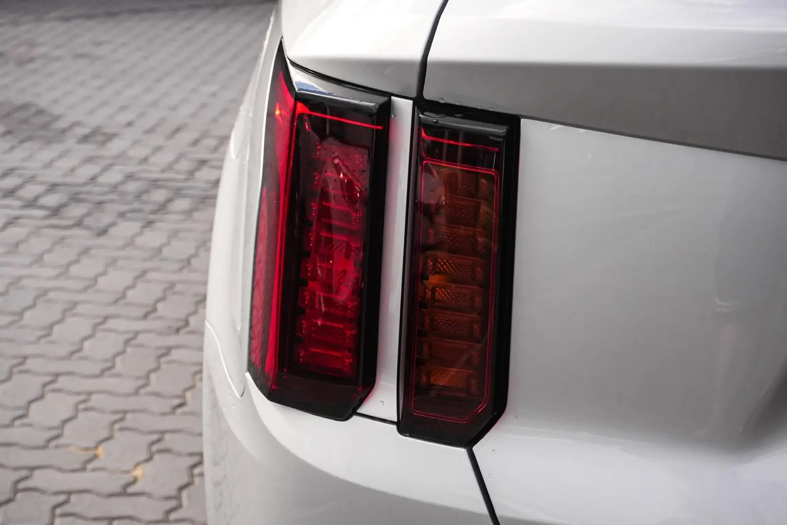 2022 Kia Sorento Gallery Image 14
