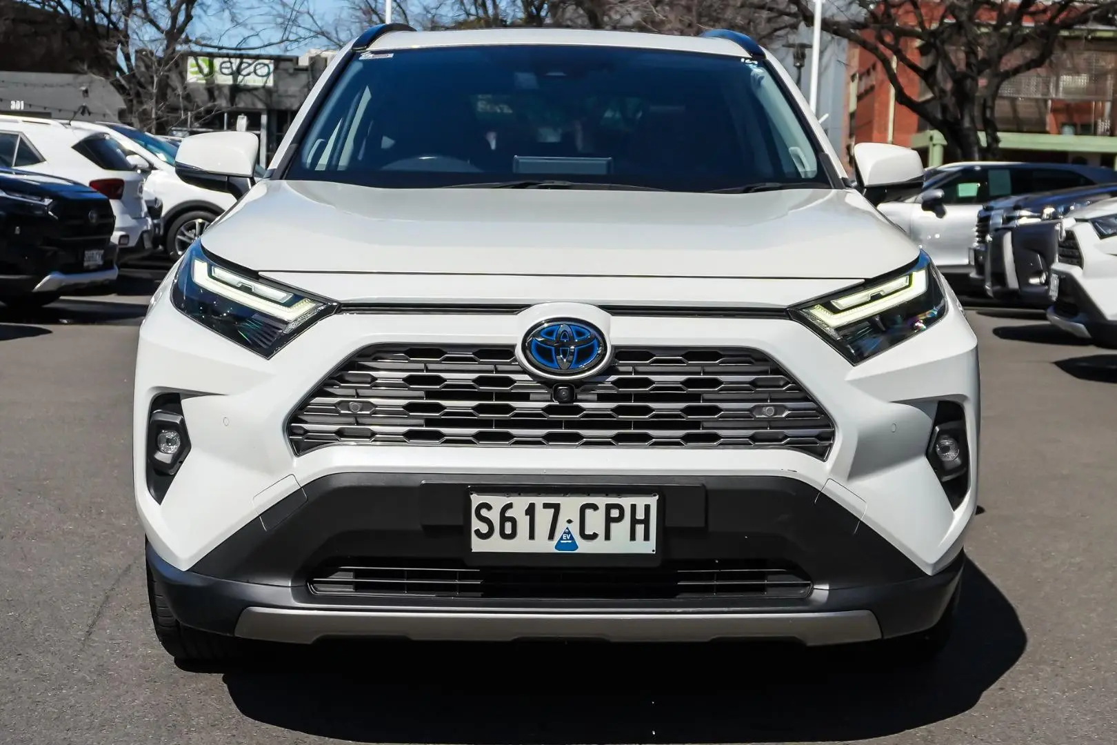 2022 Toyota RAV4 Gallery Image 4