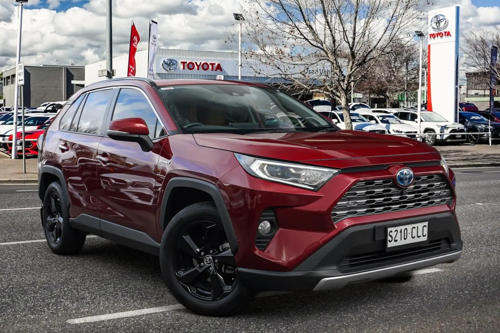 2021 Toyota RAV4 Cruiser (S210CLC) Image 1