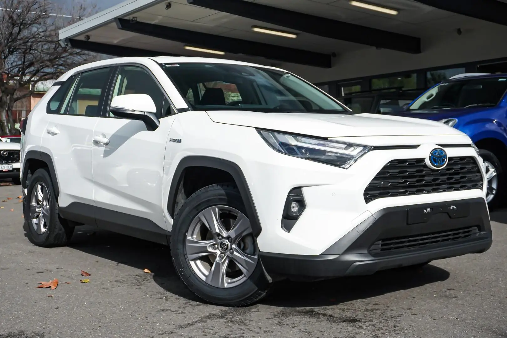 2024 Toyota RAV4 Gallery Image 2