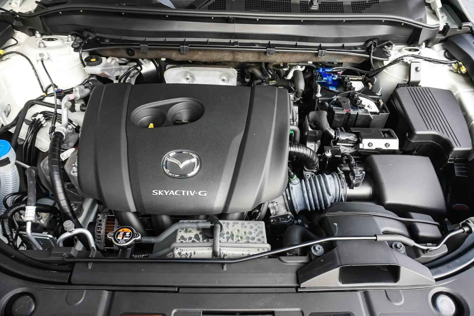 2020 Mazda CX-8 Gallery Image 24