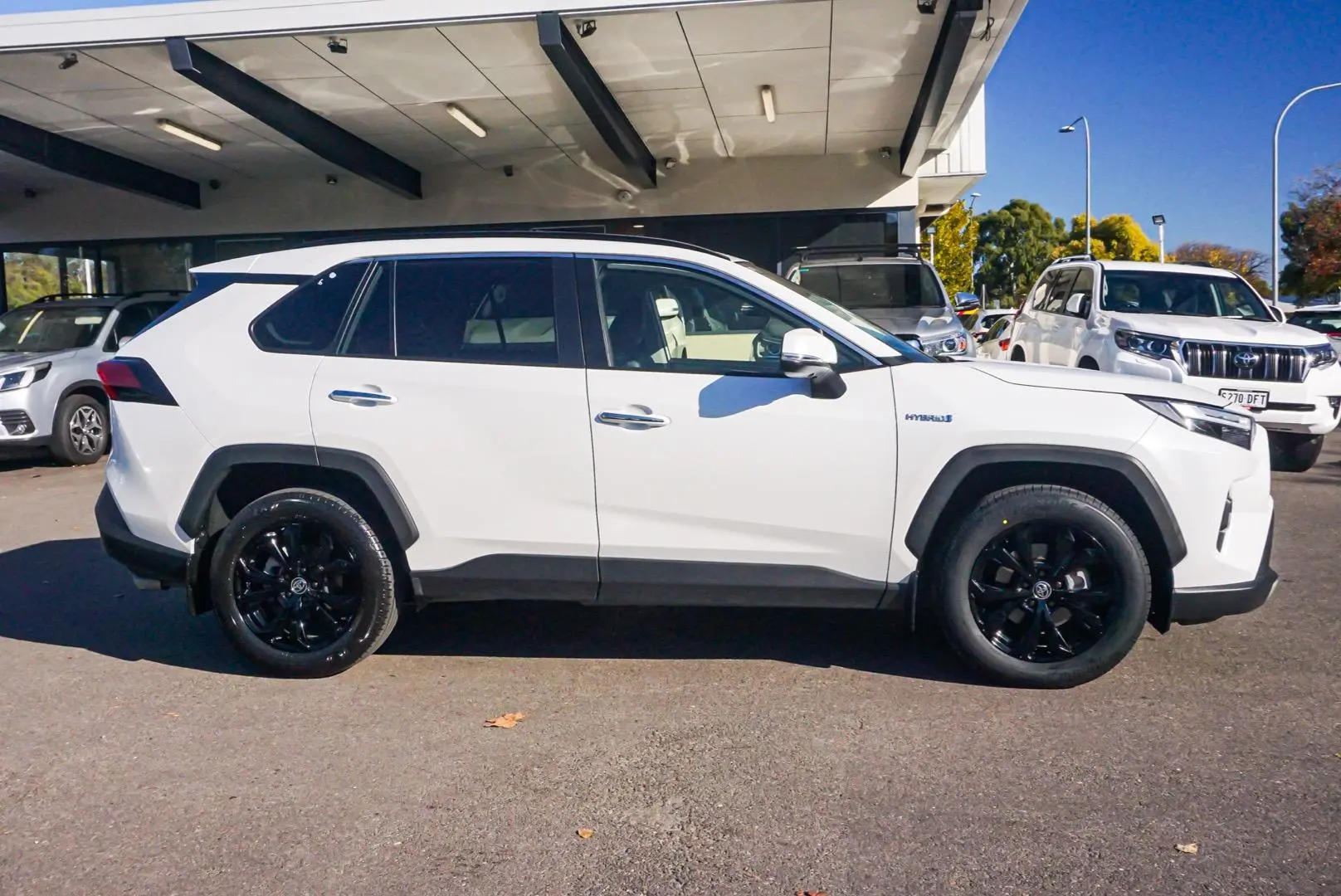 2022 Toyota RAV4 Gallery Image 4