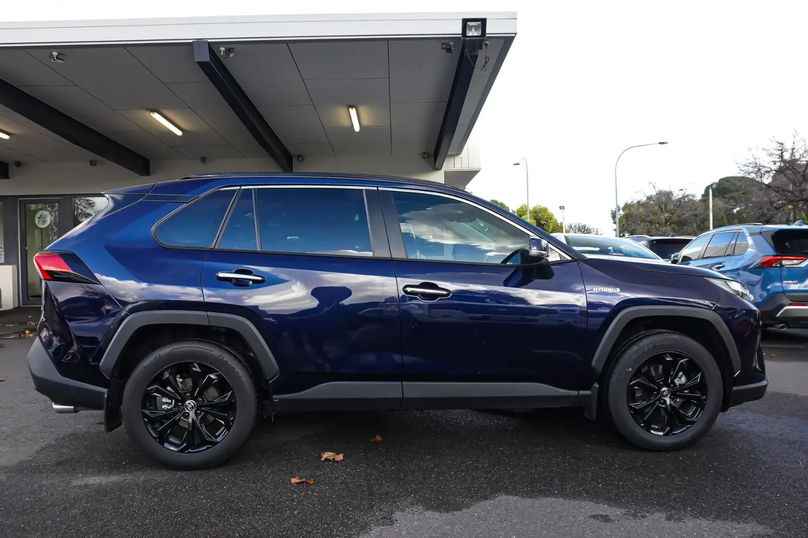 2024 Toyota RAV4 Gallery Image 4