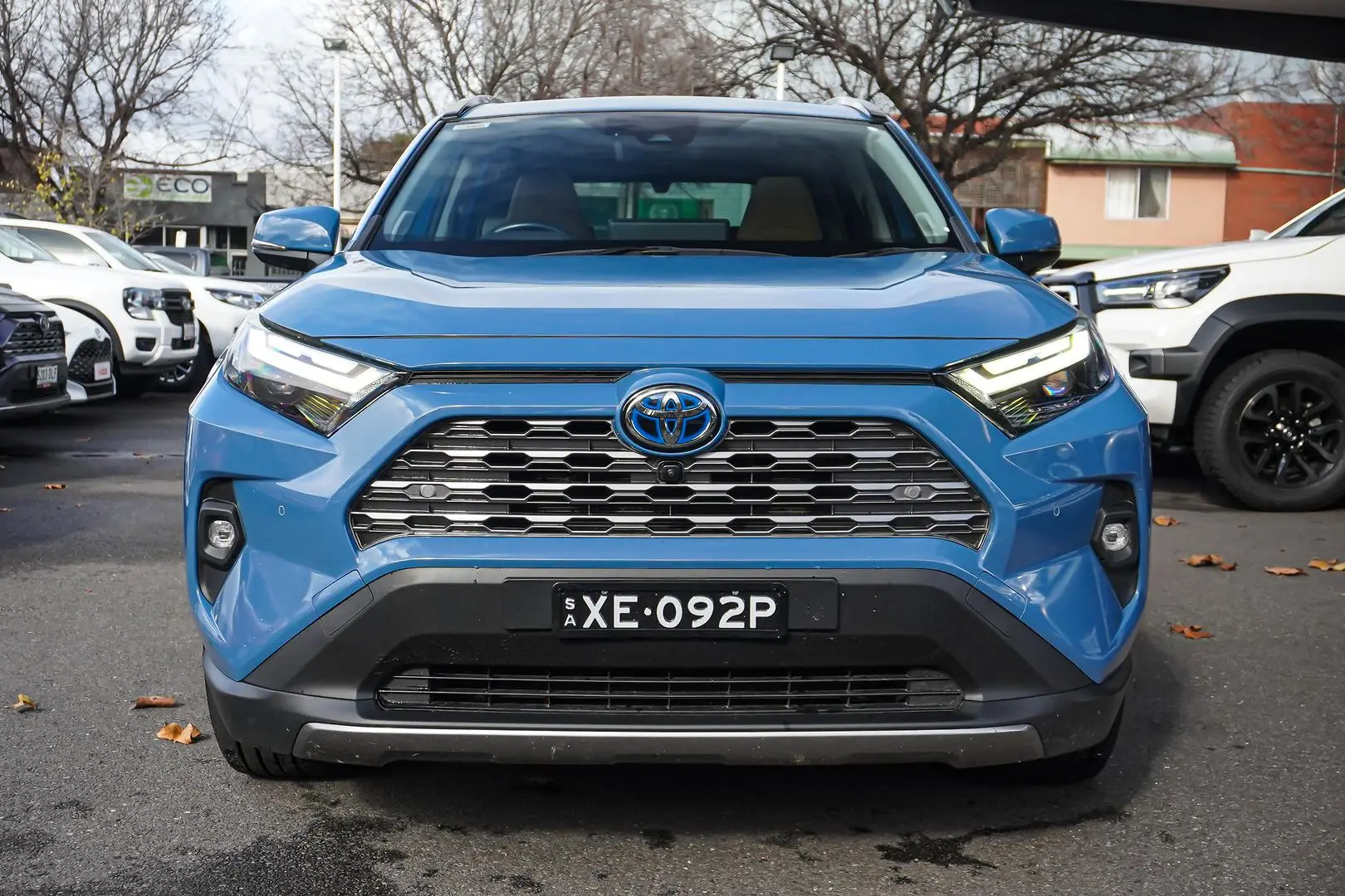 2024 Toyota RAV4 Gallery Image 4