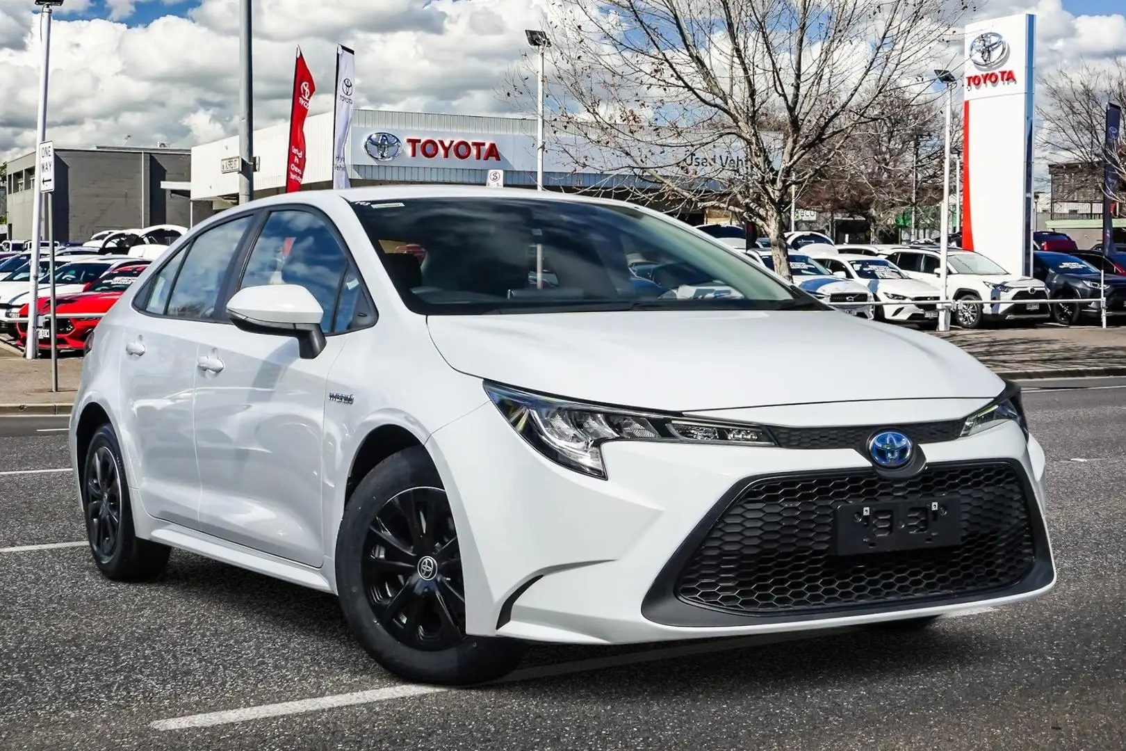 2020 Toyota Corolla Image