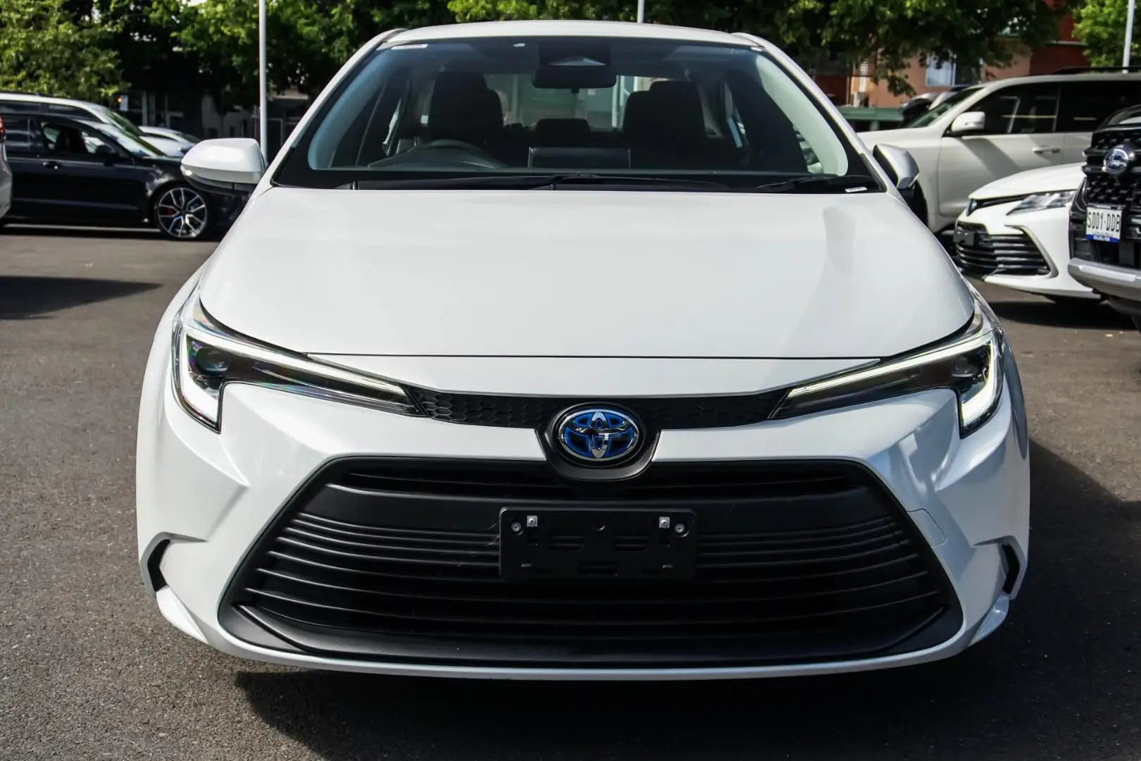 2023 Toyota Corolla Gallery Image 4