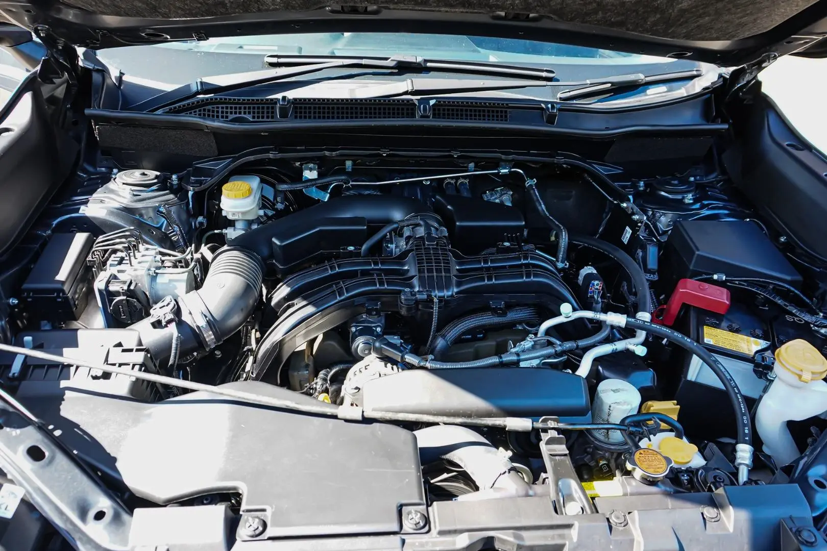 2024 Subaru Forester Gallery Image 24