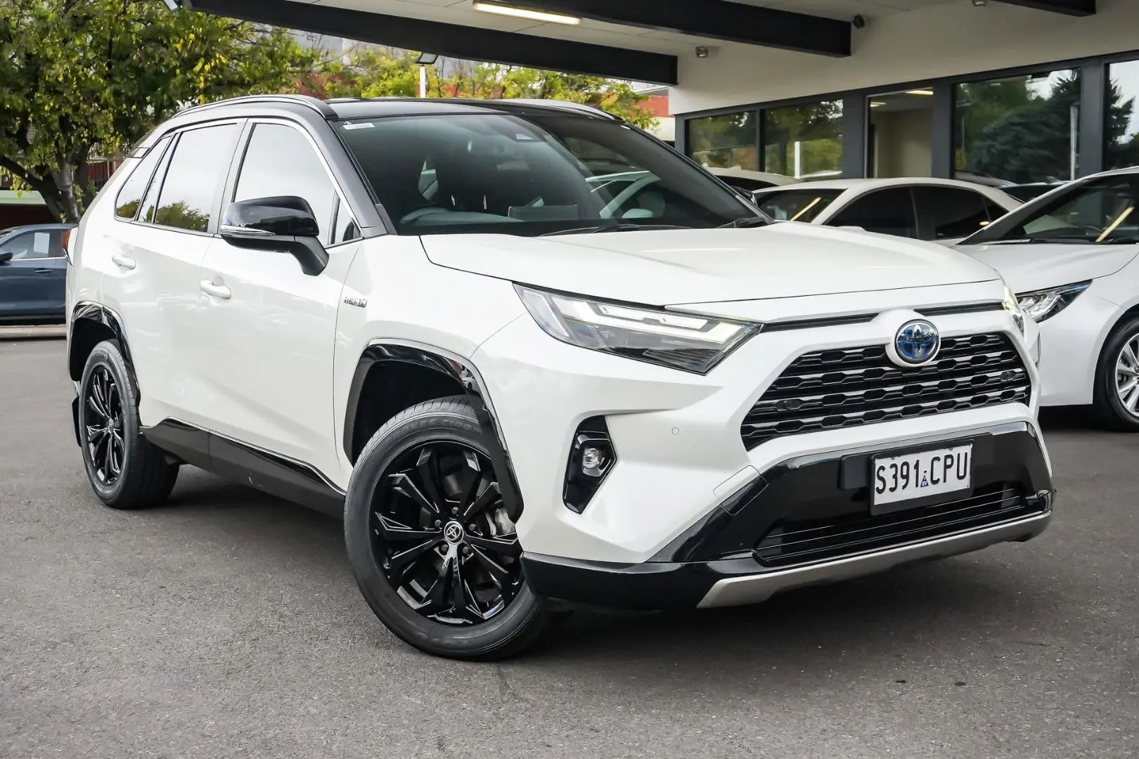 2022 Toyota RAV4 Gallery Image 2