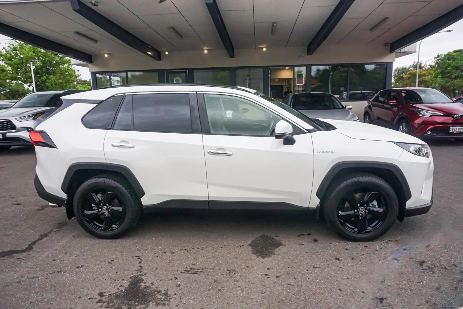 2019 Toyota RAV4 Image 3