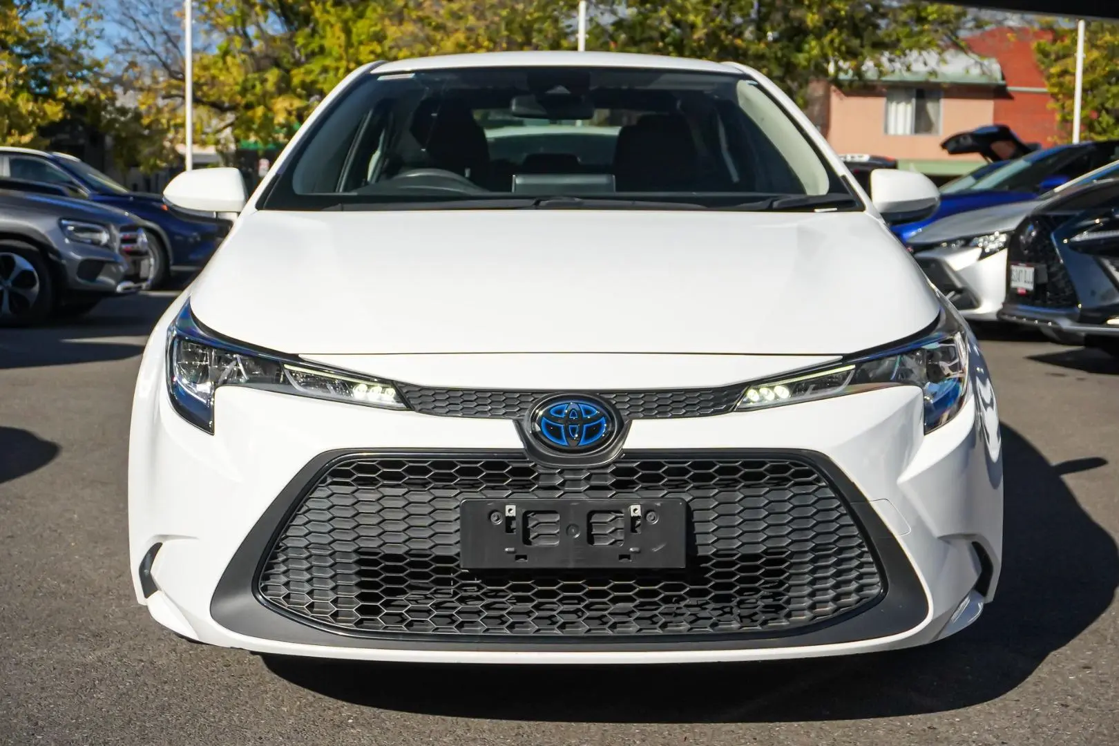 2021 Toyota Corolla Gallery Image 4