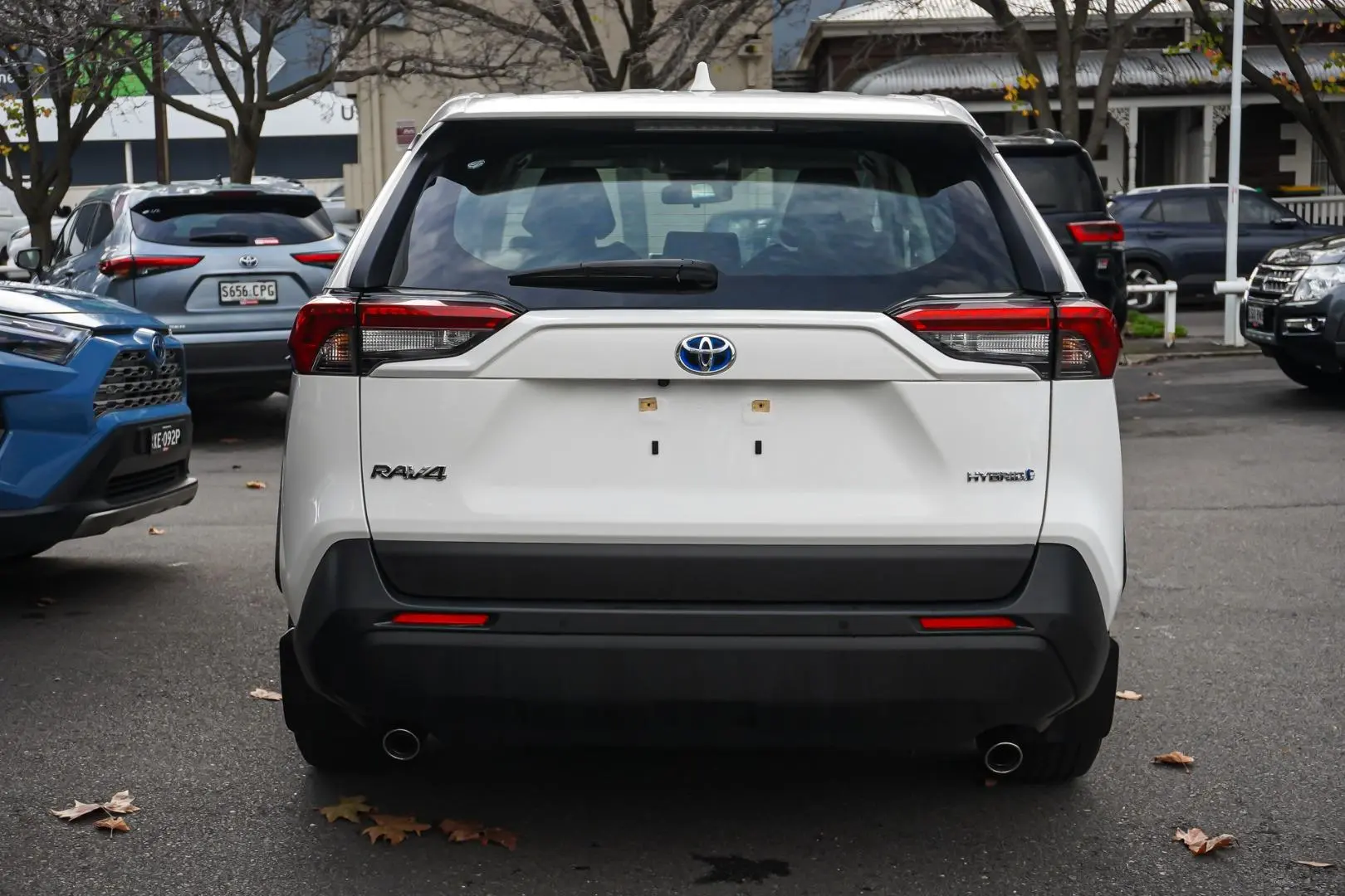 2024 Toyota RAV4 Gallery Image 6