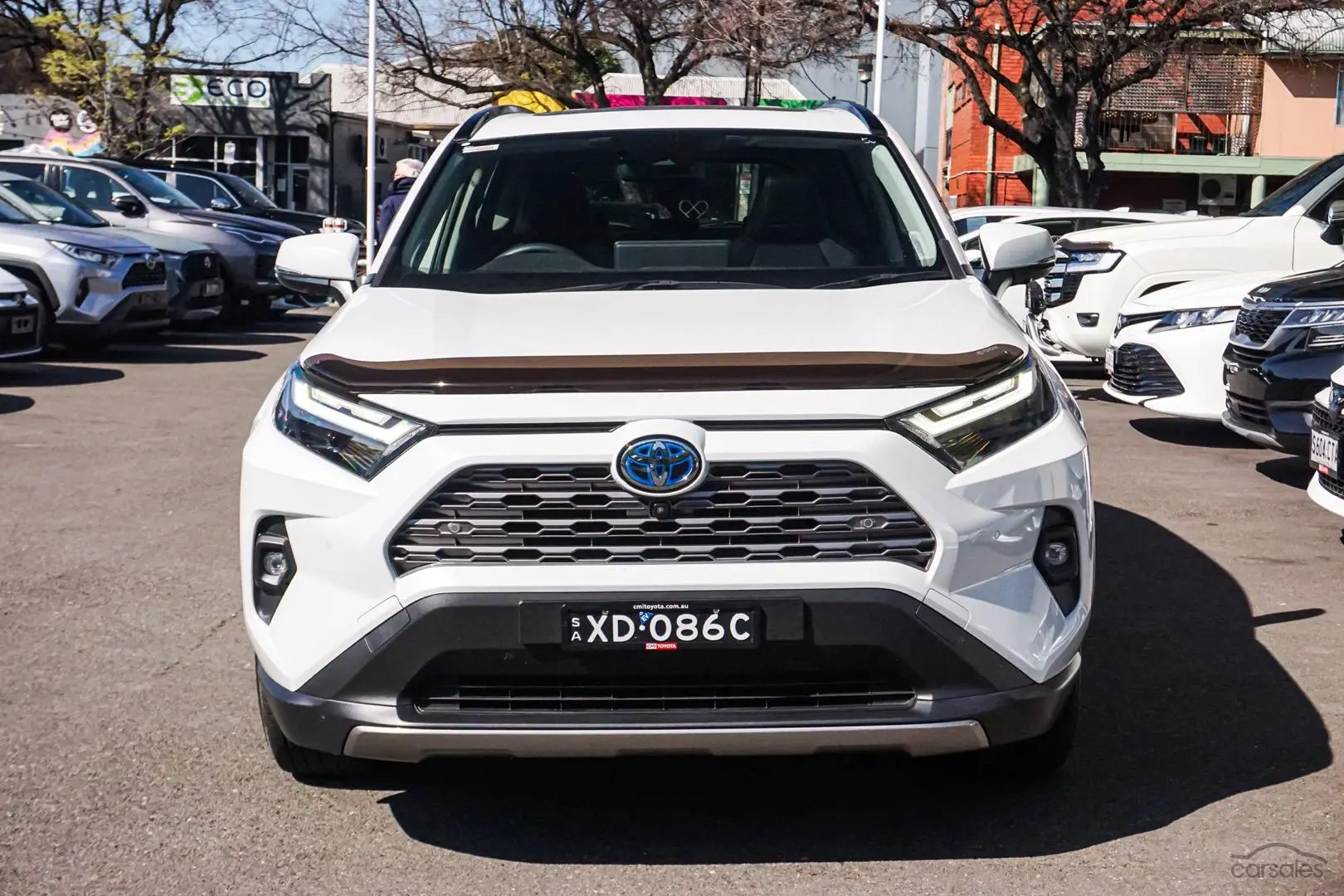 2023 Toyota RAV4 Image 5