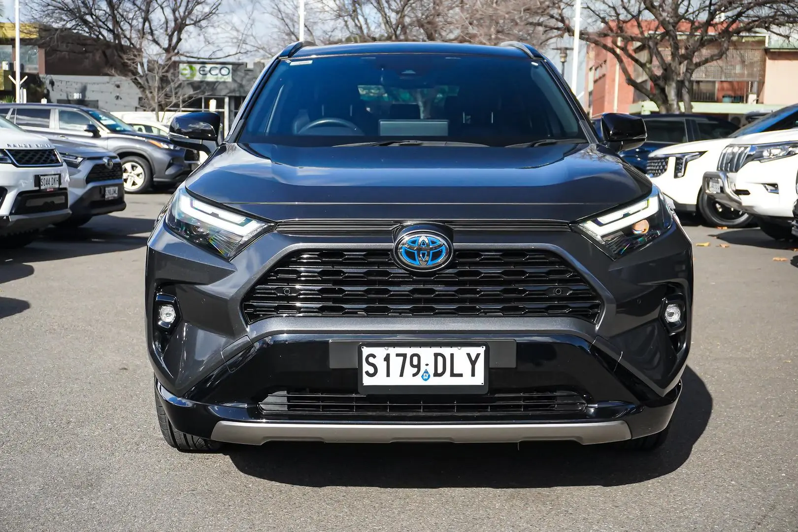 2024 Toyota RAV4 Gallery Image 4