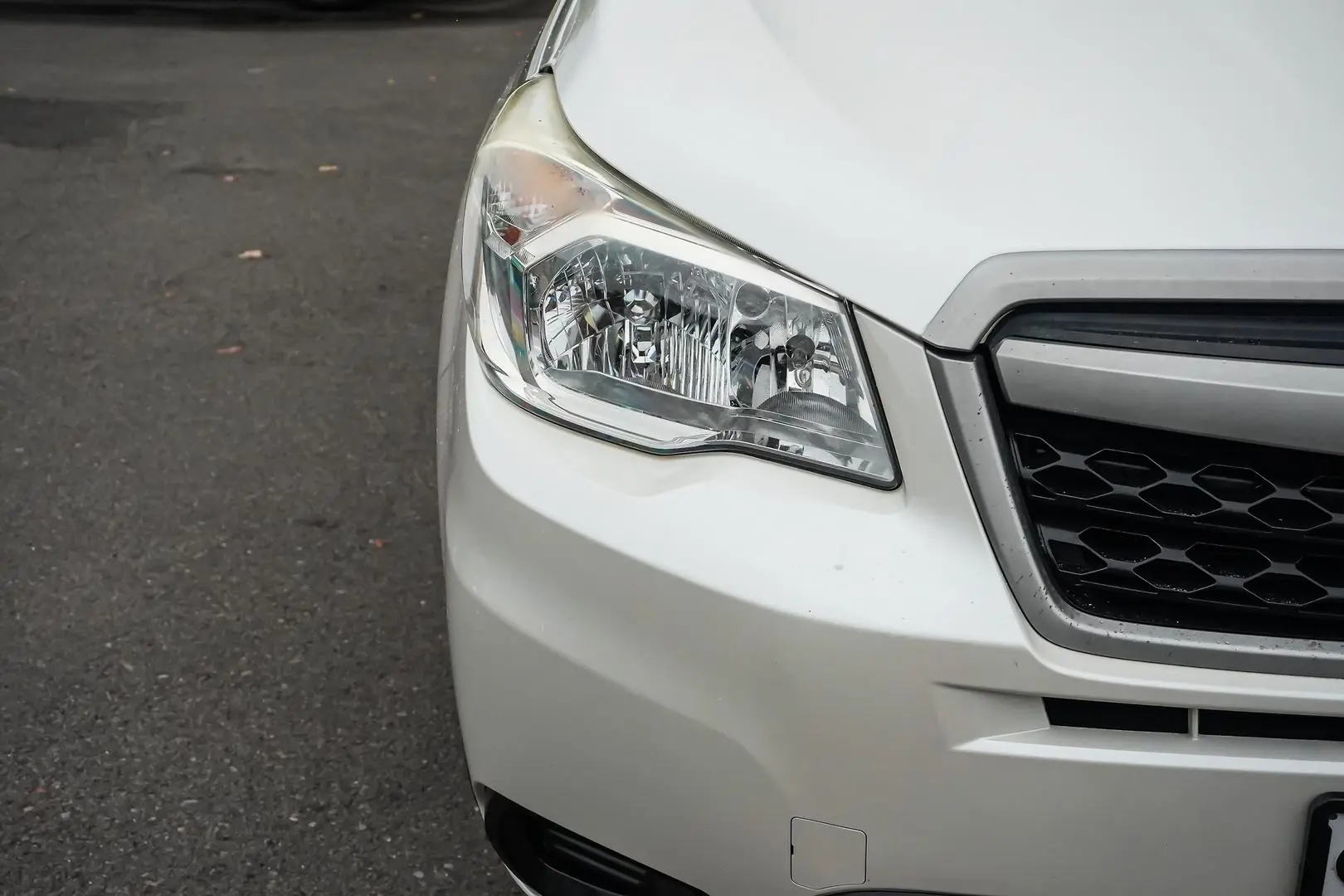 2014 Subaru Forester Gallery Image 12