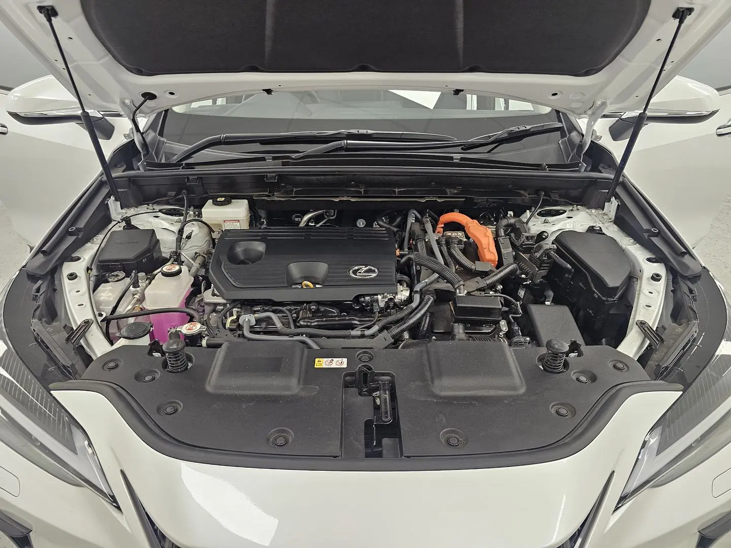 2025 Lexus NX Gallery Image 26