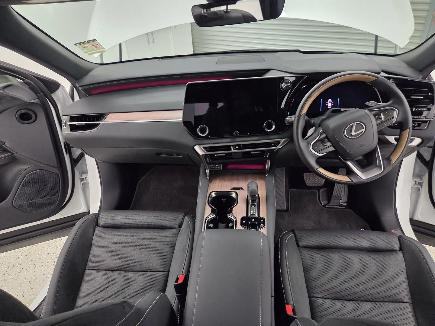 2025 Lexus RX Gallery Image 21