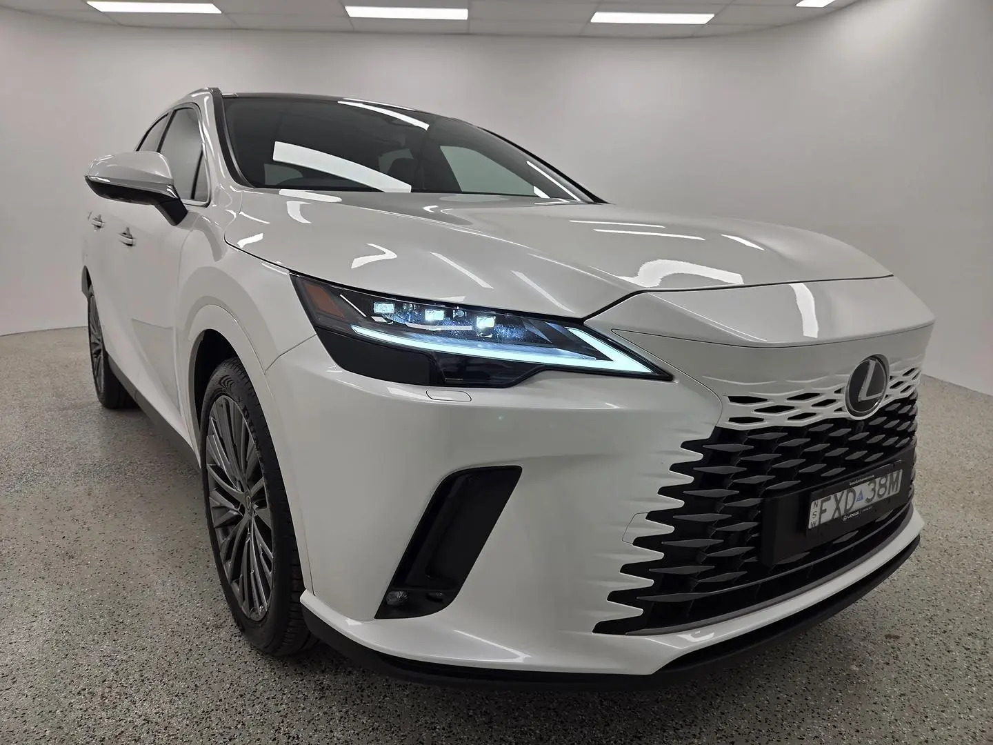 2025 Lexus RX Gallery Image 48