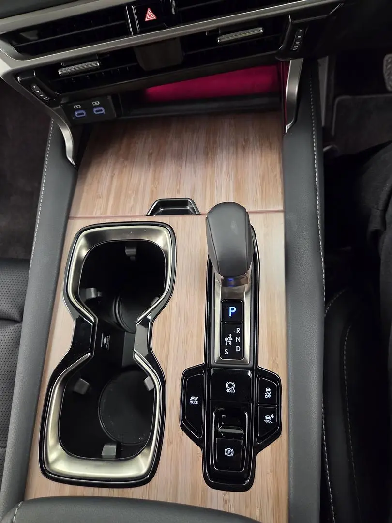 2025 Lexus RX Gallery Image 26