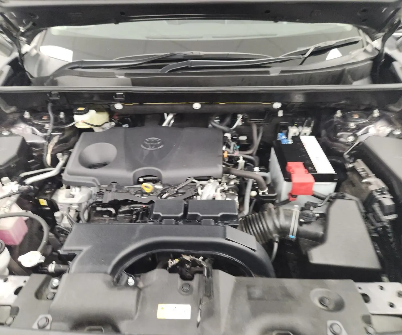 2019 Toyota RAV4 Gallery Image 15