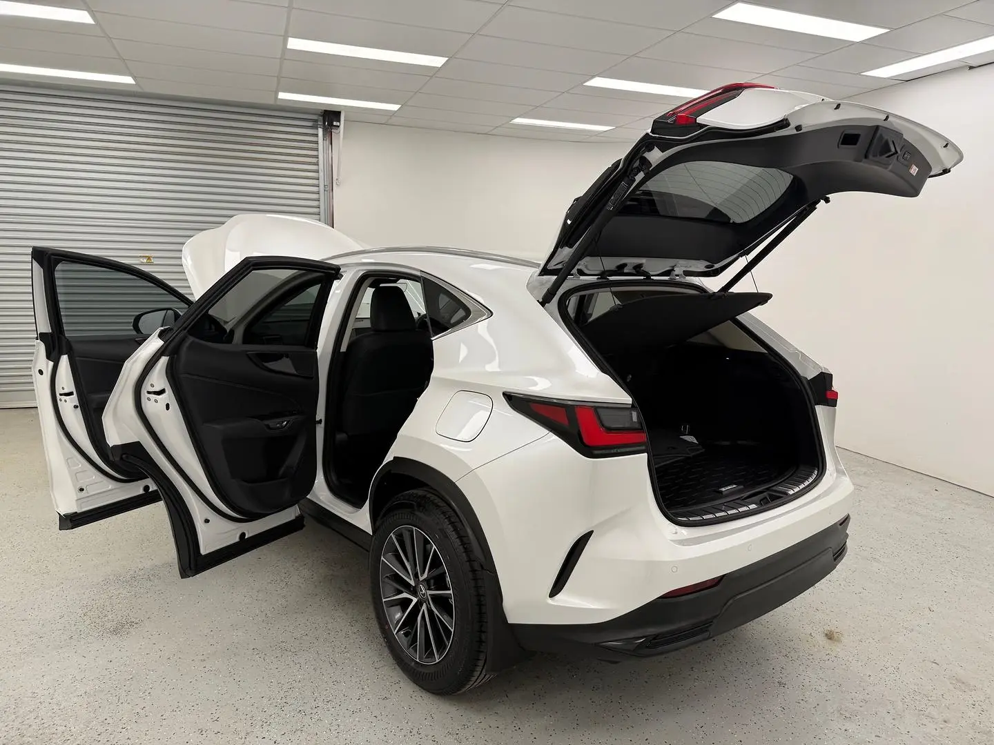 2025 Lexus NX Gallery Image 13