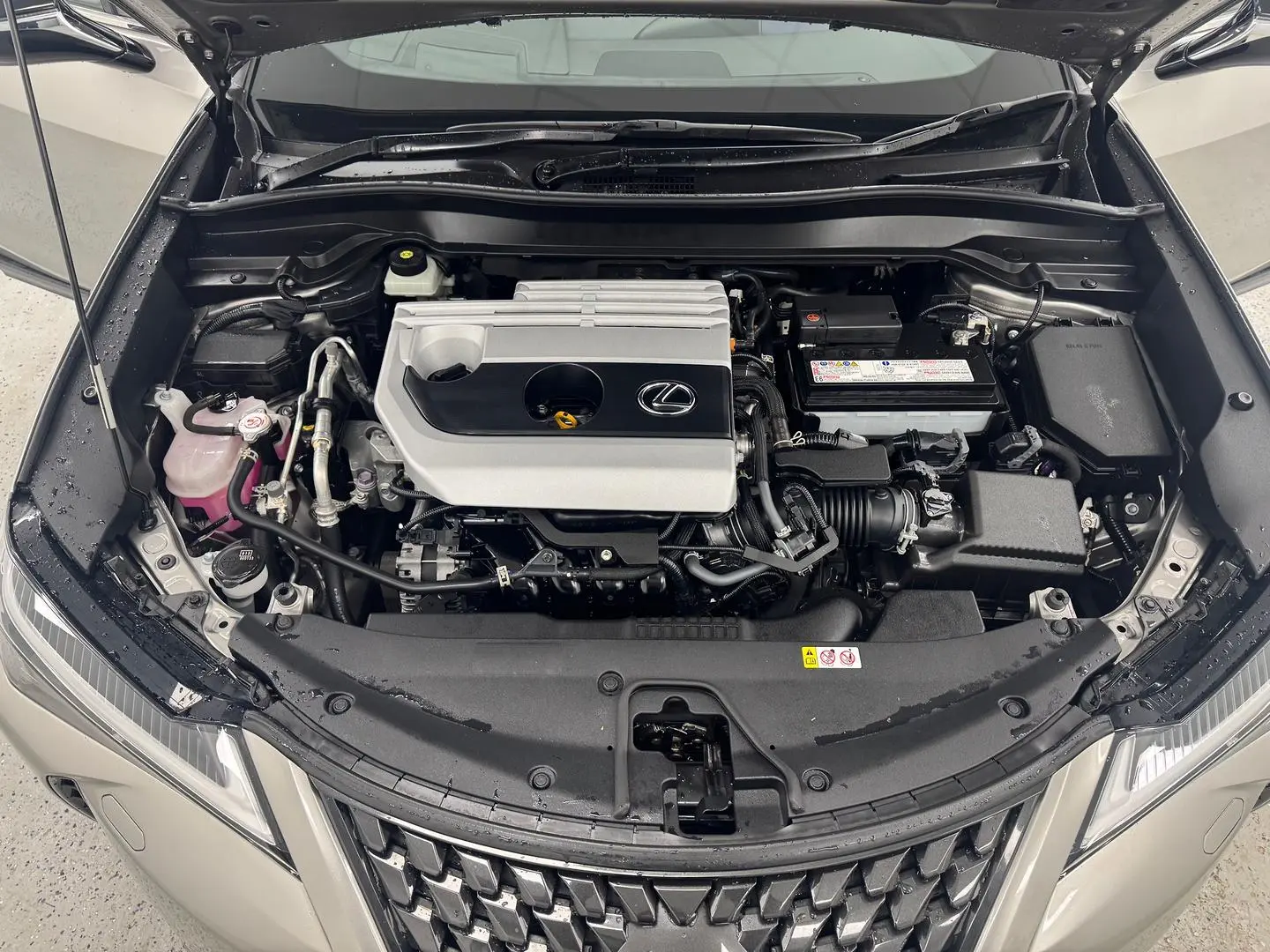 2021 Lexus UX Gallery Image 14