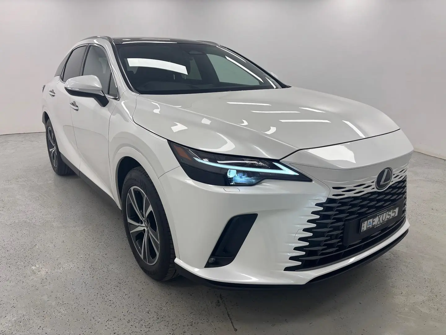 2025 Lexus RX Gallery Image 1