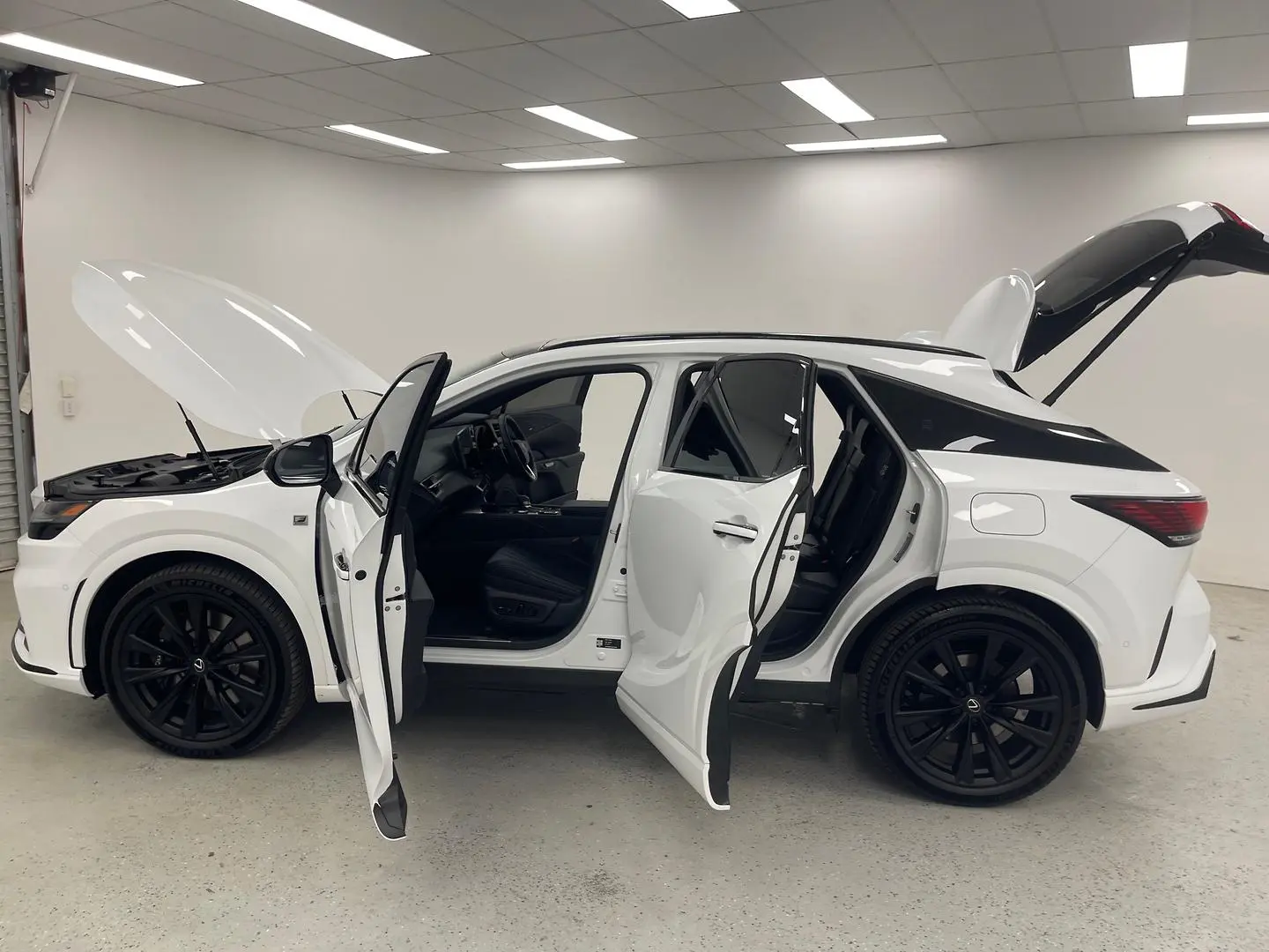 2025 Lexus RX Gallery Image 12