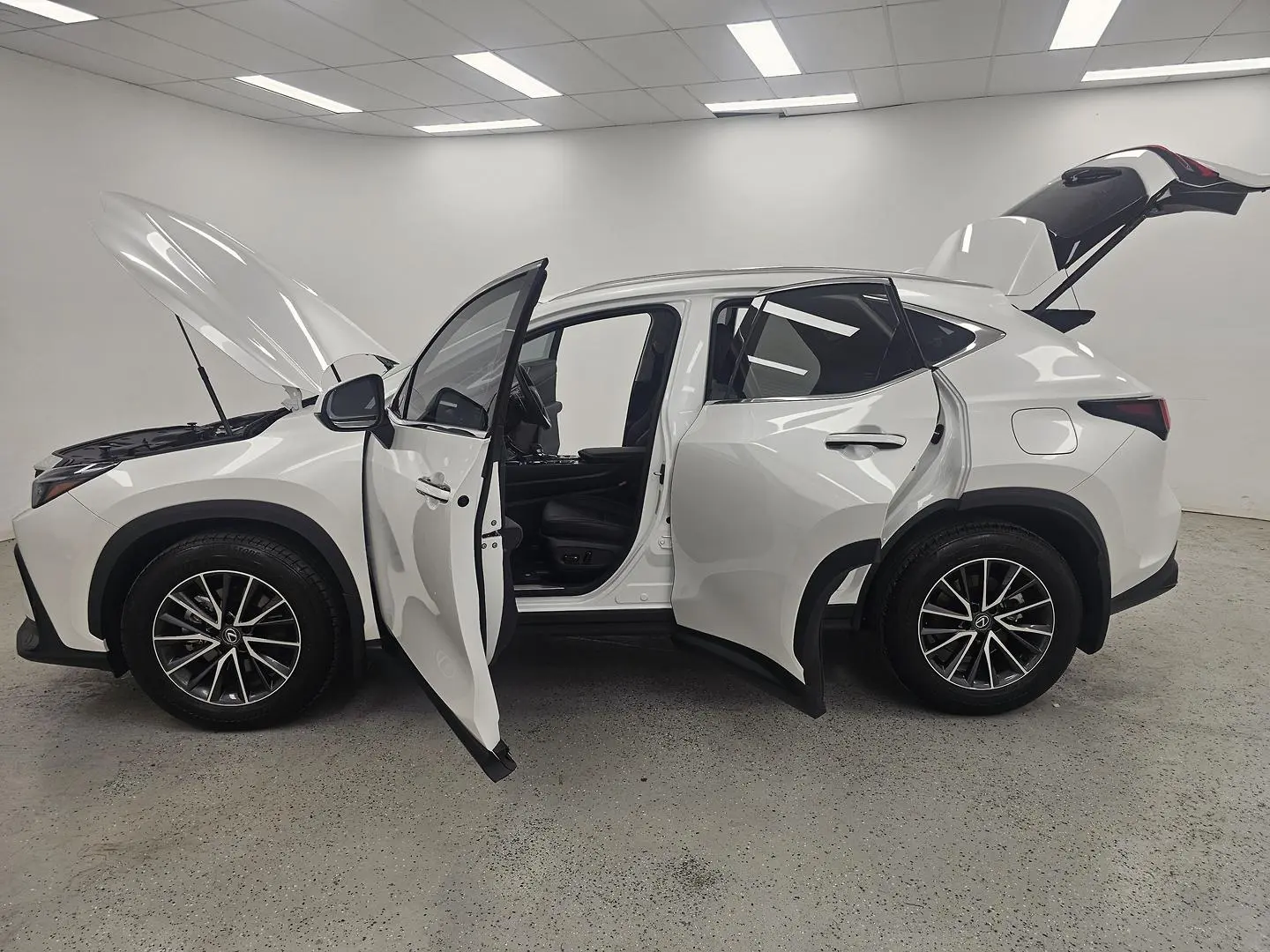 2025 Lexus NX Gallery Image 10