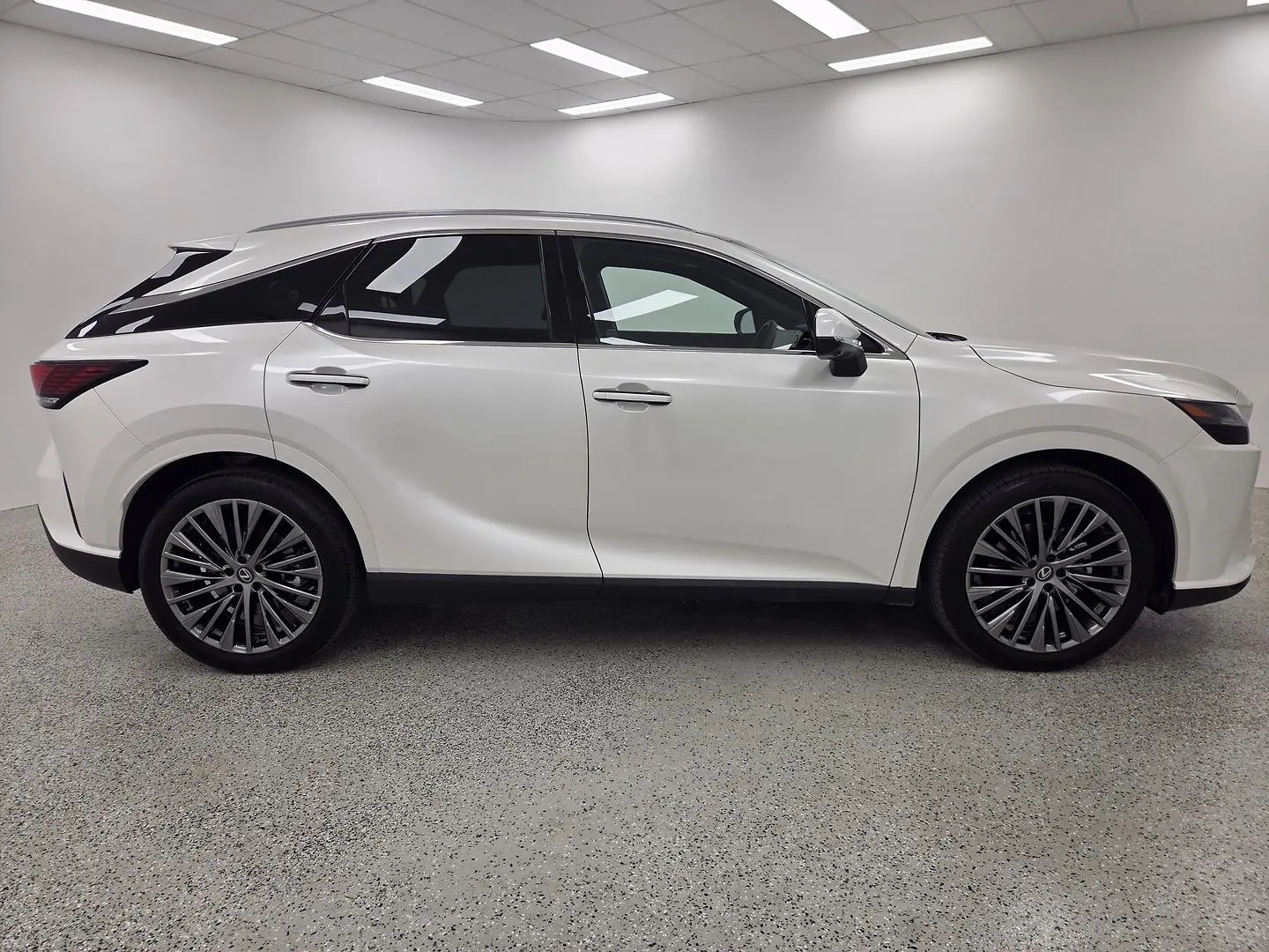 2025 Lexus RX Gallery Image 2