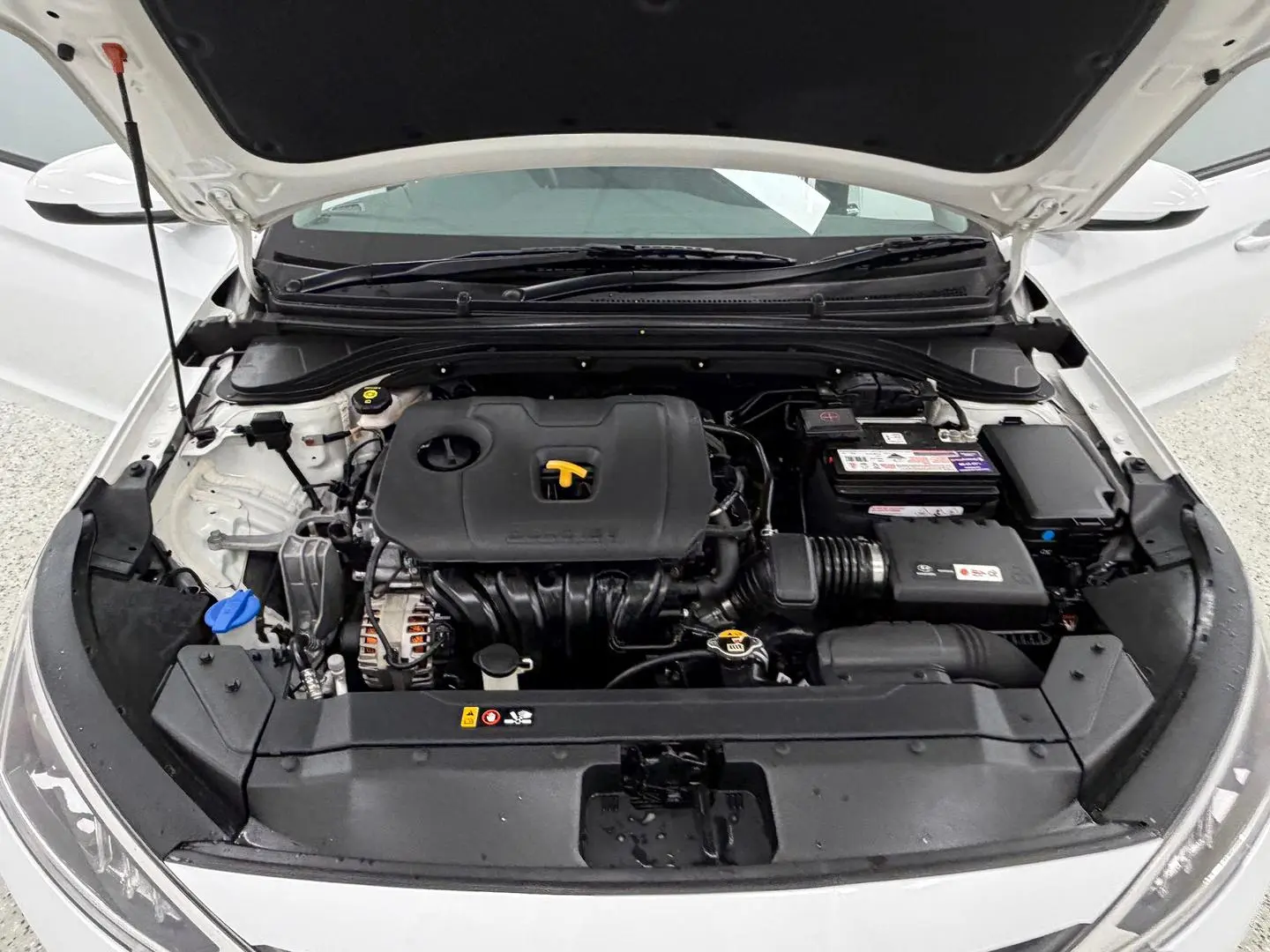 2019 Hyundai Elantra Gallery Image 14