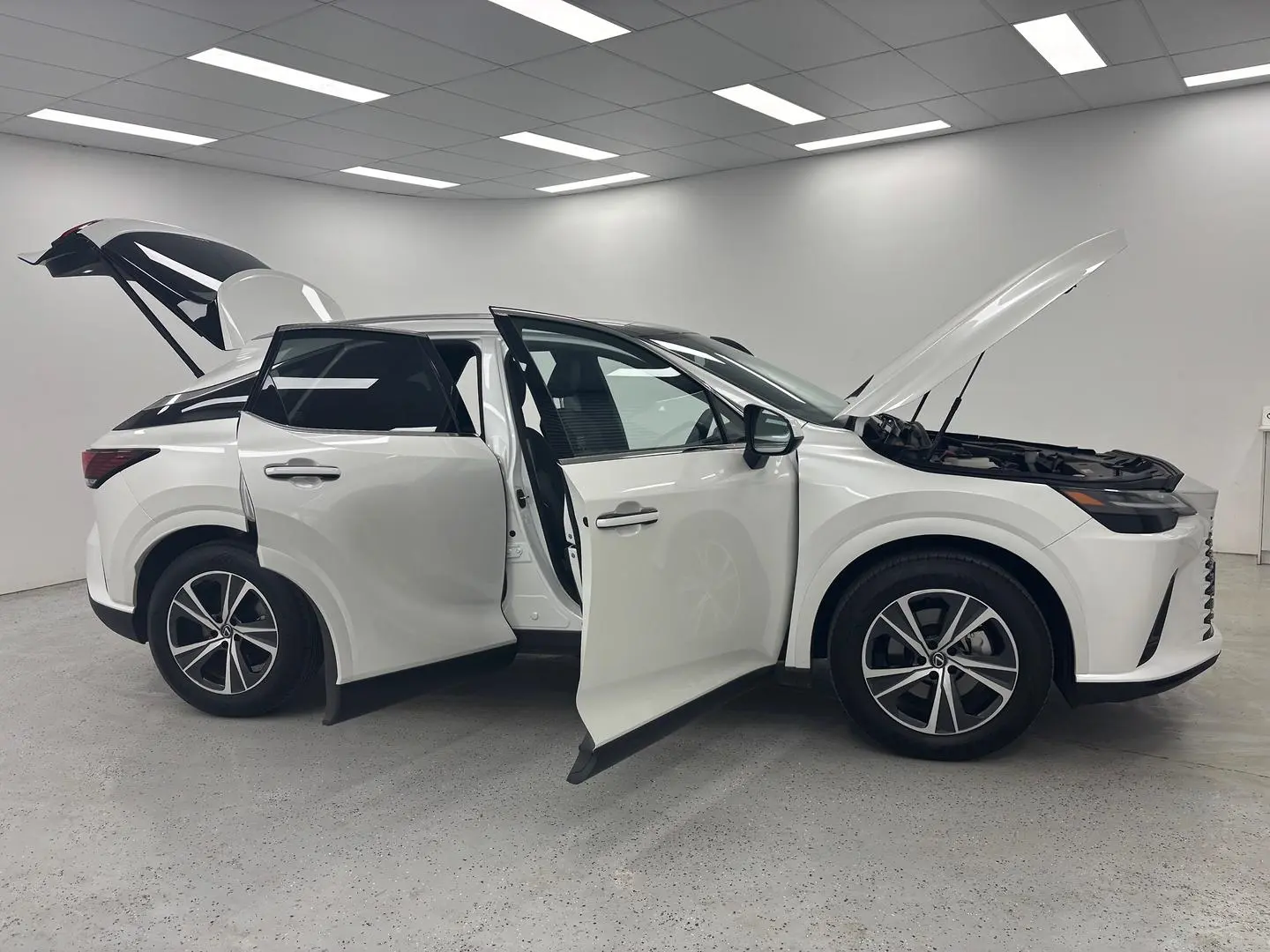 2025 Lexus RX Gallery Image 9