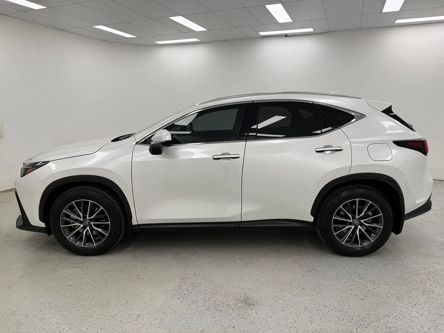 2025 Lexus NX Gallery Image 6