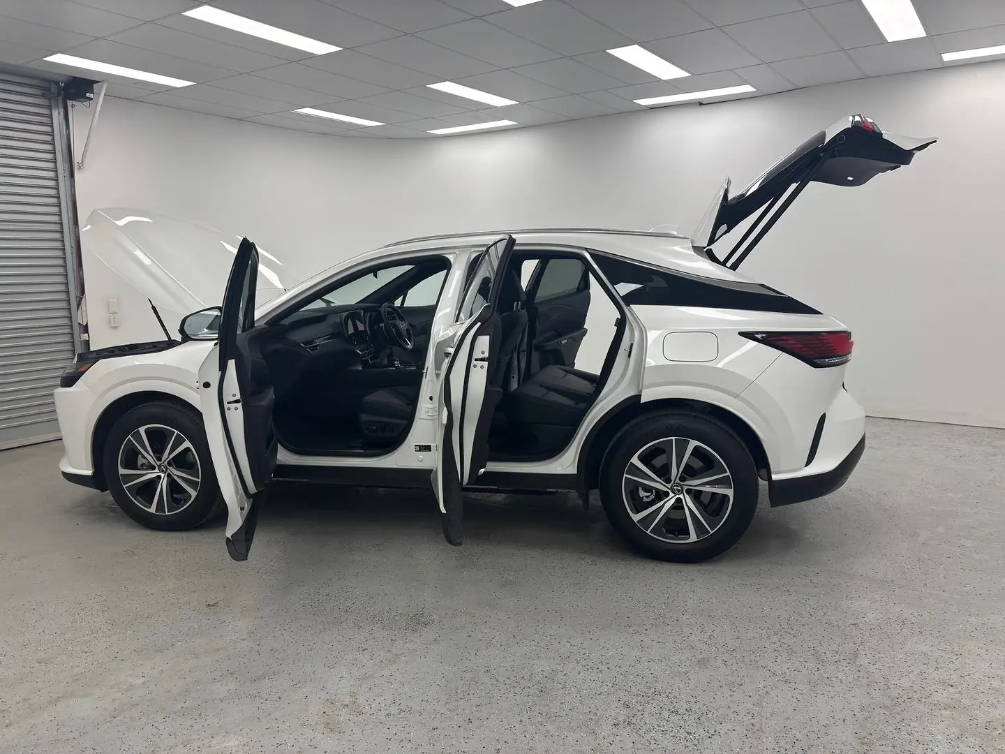 2025 Lexus RX Gallery Image 13